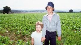 Timeline: Cajas de Carton- Ally Figura