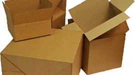 Timeline: Cajas de cartón - Rachel Dinan