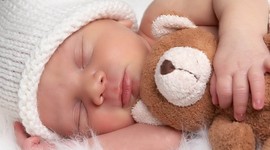 Timeline: fetal development timeline