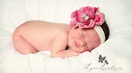 Timeline: Fetal Development Timeline