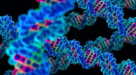 Timeline: History of Genetics