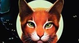 Timeline: Warriors: The Last Hope; Chapter Notes ***SPOILER ALERT***