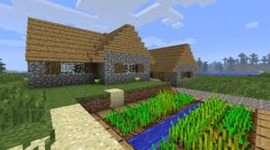 Timeline: Events in Brice's life.