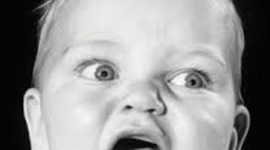 Timeline: Fetal Development