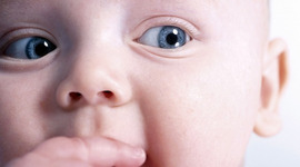 Timeline: Fetal Development Timeline