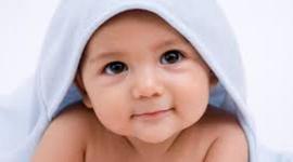 Timeline: Fetal Development Timeline