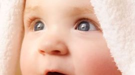 Timeline: Fetal Development Timeline