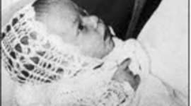 Timeline: A dingo took my baby