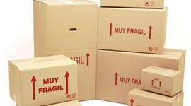 Timeline: Cajas de Cartón