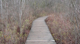 Timeline: Emancipation and Human Rights in Central New York