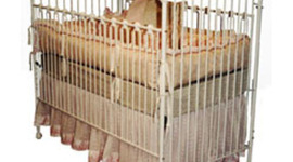 Timeline: The immigrant story