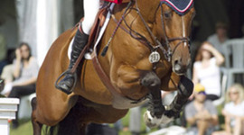 Timeline: Riding High: Ian Millar`s world of Showjumping