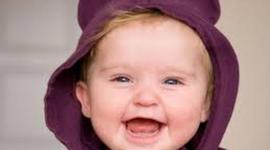 Timeline: Fetal Development Timeline