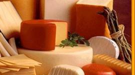 Timeline: Rakendusbioloogia