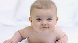 Timeline: Fetal Development Timeline