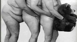 Timeline: biblioteca