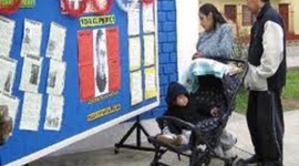 Timeline: Texto Expositivo