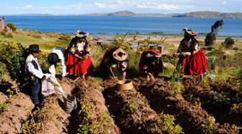 Timeline: Enmancipación De Las Colonias Americanas