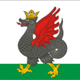 Flag of kazan (tatarstan)