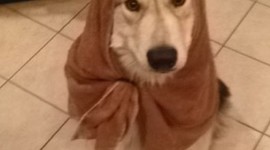 Timeline: My Timeline