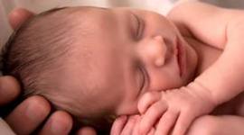 Timeline: Fetal Development Timeline