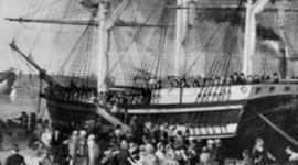 Timeline: Daragh Owens Timeline