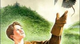 Timeline: "My side of the mountain"