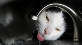 Timeline: Test - Eastern Ontario