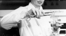 Timeline: Barbara Askins Important Events