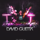 David guetta (4)