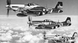 Timeline: CPUSH Nunez