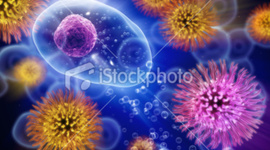 Timeline: Development Of Cell Theory