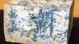 Timeline: History of Cheese!!