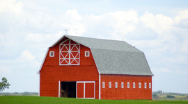 Timeline: Animal Farm