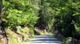 Timeline: OGHS Mikayla Gorham and Emily