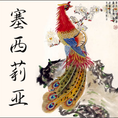 Timeline: Continuidad