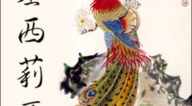 Timeline: Continuidad