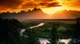 Timeline: The Life of Jason Torres