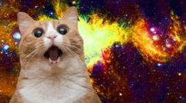 Timeline: Acquired Technology