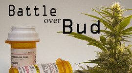 Timeline: Michigan Medical Marijuana