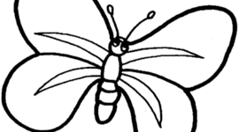 Timeline: Ciclo de vida de la mariposa