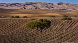 Timeline: The Frontier