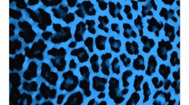 Timeline: Across five Aprils by Miriam, Abby, Lauren