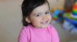 Timeline: Toddlerhood Development