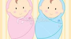 Timeline: The Developing Baby (Tori Davids)