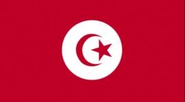 Timeline: Arab Spring (Reserach Project) - Robert Macioce/ Daniel Kamovitch (Mrs. Urschler)