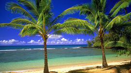 Timeline: Summer of 2013