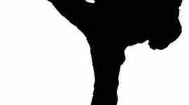 Timeline: ACTORES ARTES MARCIALES