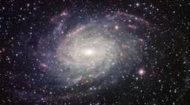 Timeline: Science Project Timeline