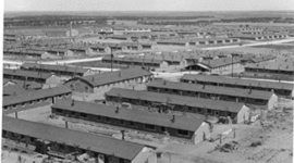 Timeline: Japanese Internment
